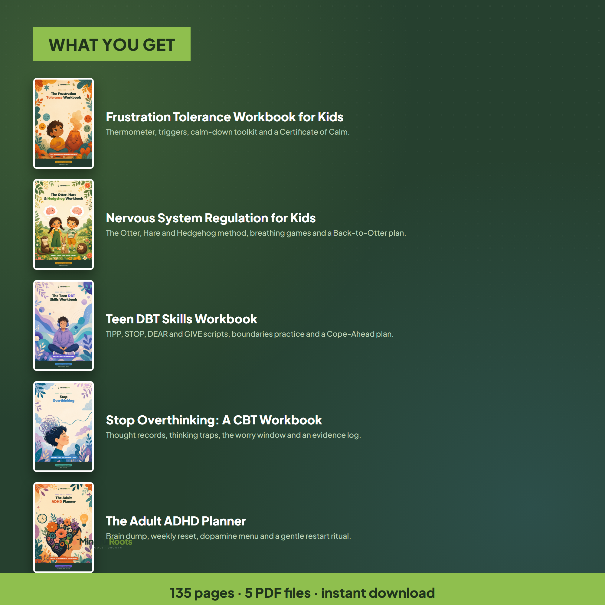 What you get - all five workbooks explained