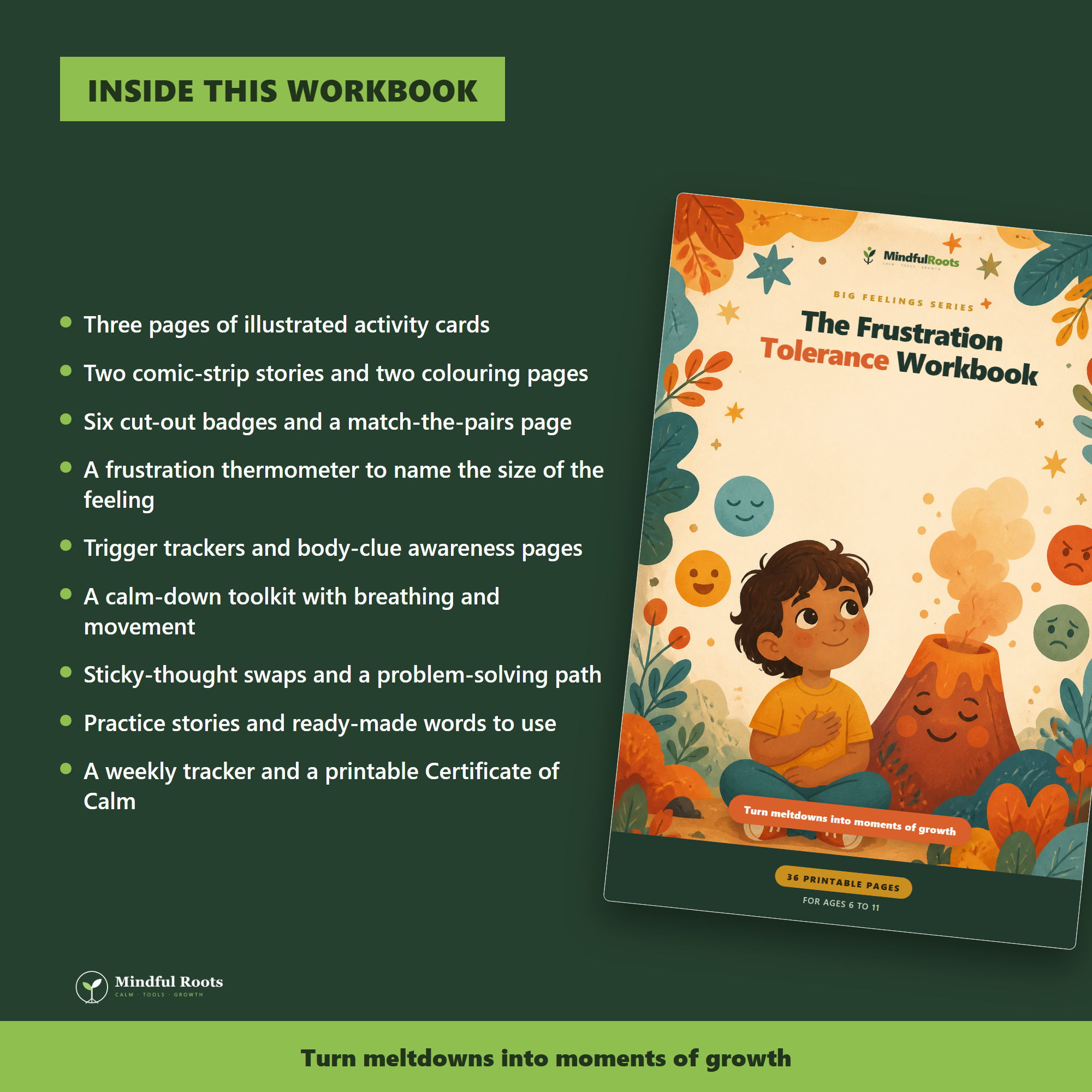 What is inside the Frustration Tolerance Workbook for Kids